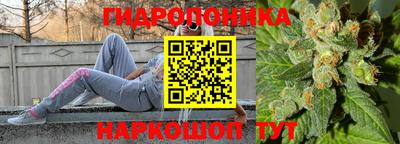 герыч Лесосибирск