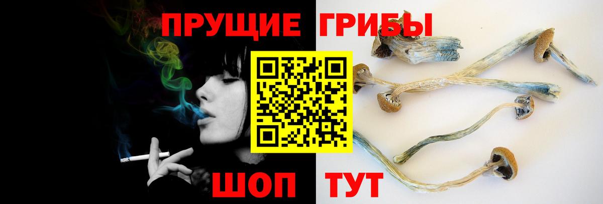 продажа наркотиков  Псилоцибиновые грибы MAGIC MUSHROOMS  Вход с VPN  Губаха 